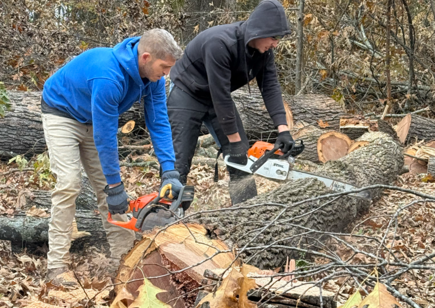 tree pruning benton ky 