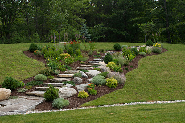 A landscaped garden with stones, plants, and a winding path through greenery.
