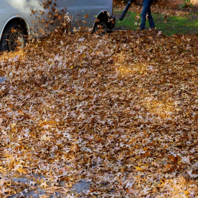 A person raking a large pile of autumn leaves near a parked car.