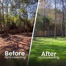 Comparison of a yard before and after hydroseeding, showing transformed lush green grass.