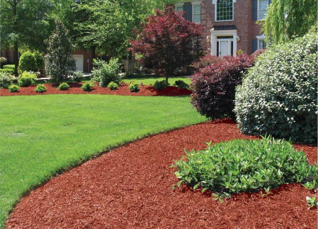 Lawn with red mulch, green bushes, and trees in a landscaped yard.