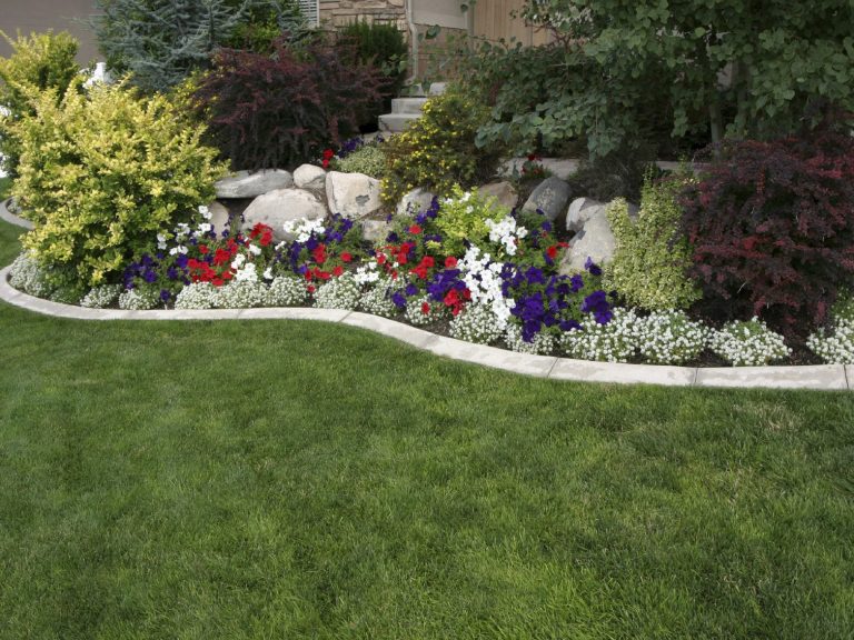 Expert Landscaping Services in Paducah, KY