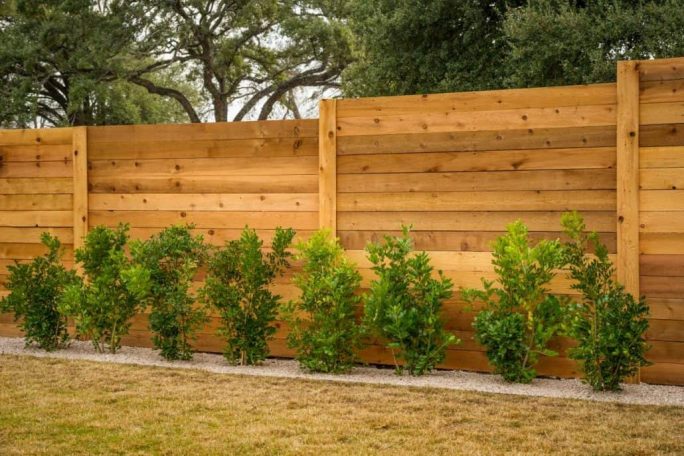 Wooden fence with green shrubbery along the bottom and trees in the background.